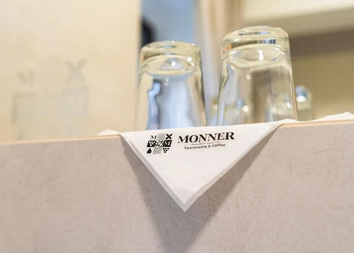 Monner 4*